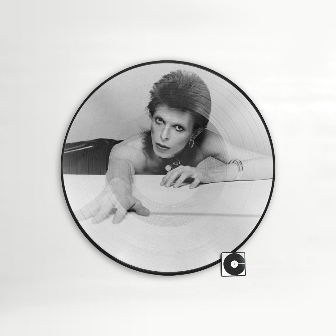 David Bowie - "Diamond Dogs" Half-Speed Picture Disc – ComebackVinyl.com