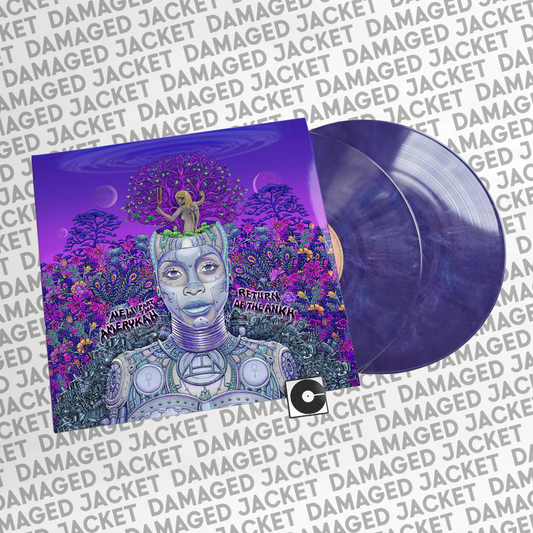 Erykah Badu - "New Amerykah Part Two (Return Of The Ankh)" DMG