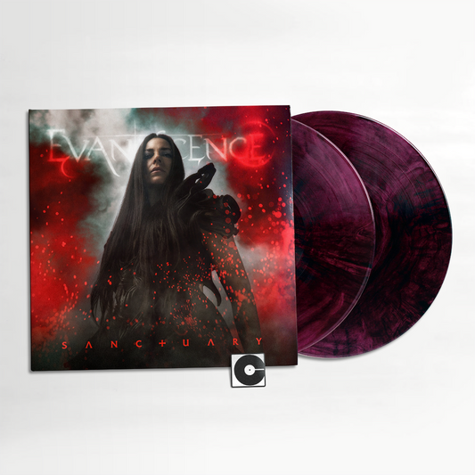 Evanescence - "Sanctuary"