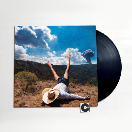 Geese - "3D Country"