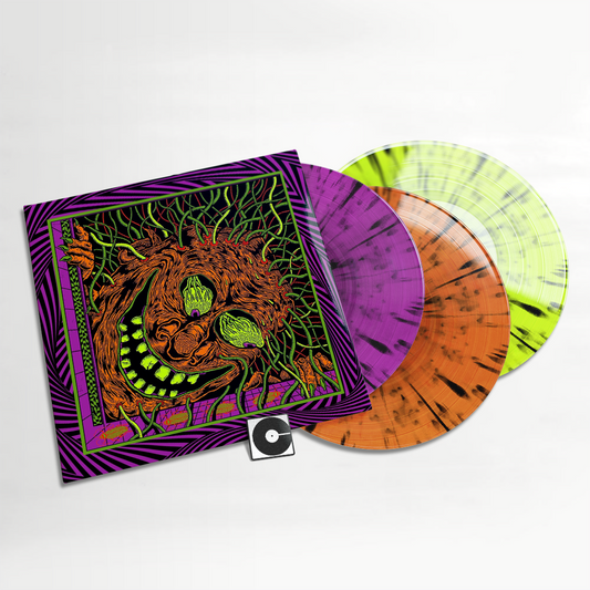 King Gizzard And The Lizard Wizard - "Live In Miami '24"