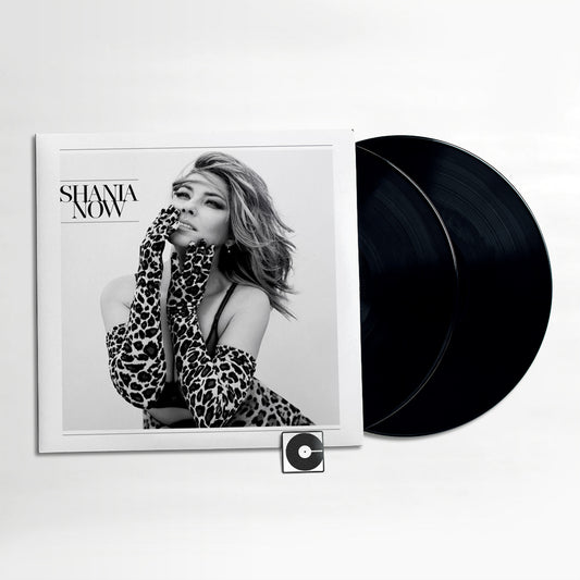 Shania Twain - "Now"