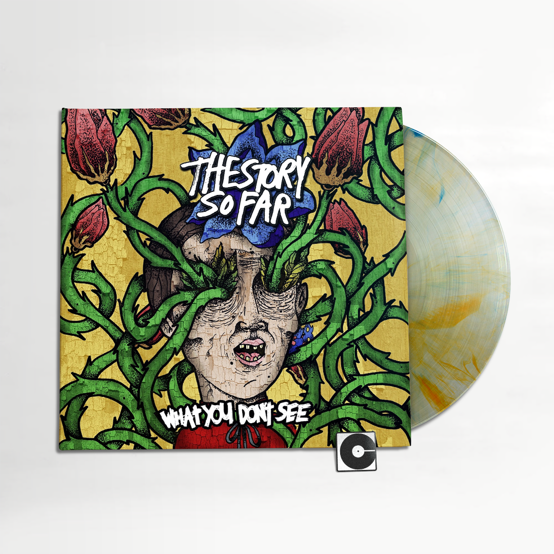 The Story So Far - "What You Don't See" 2024 Pressing