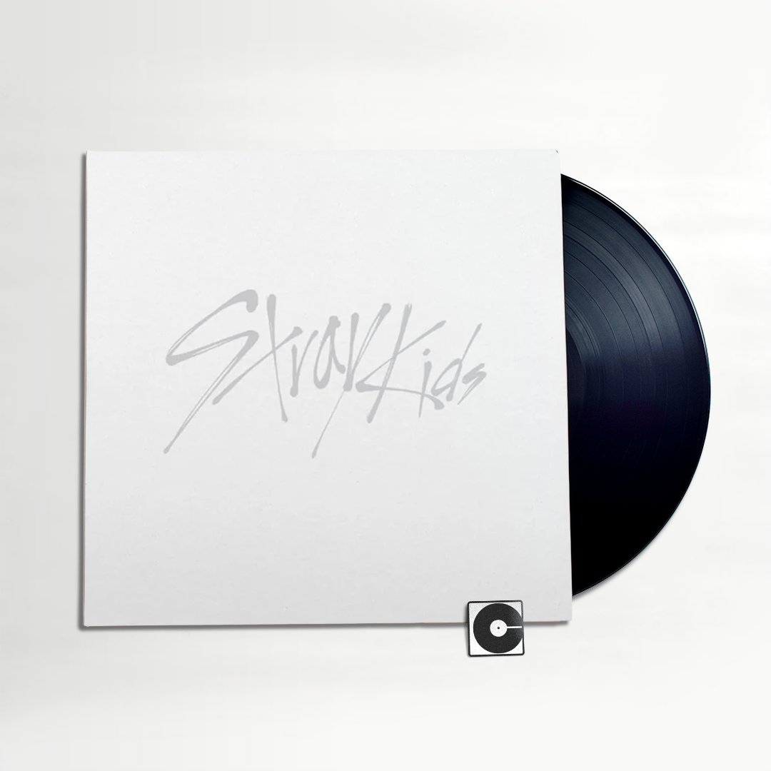 Stray Kids - "This & That"