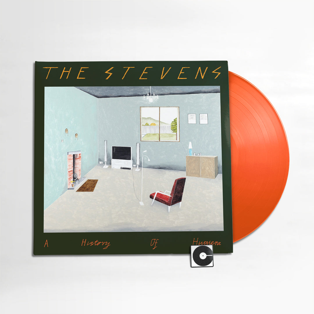 The Stevens - "A History Of Hygiene"