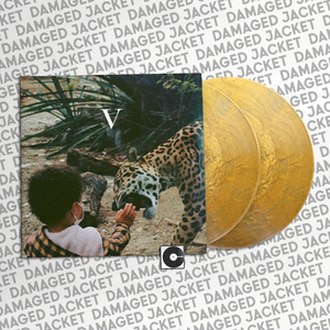 Unknown Mortal Orchestra - "V" DMG