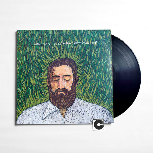 Iron & Wine - "Our Endless Numbered Days"