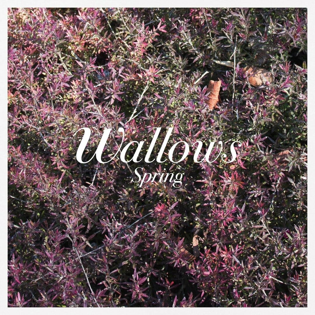 Wallows - "Spring"