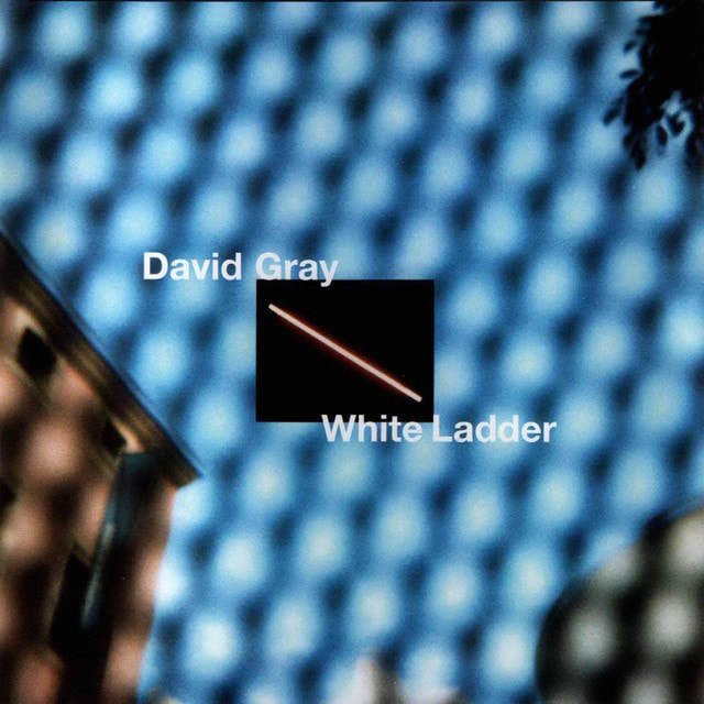 David Gray - "White Ladder"