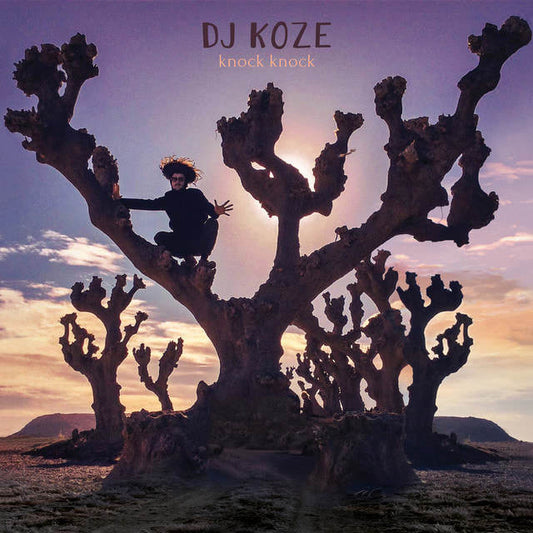DJ Koze - "Knock Knock"