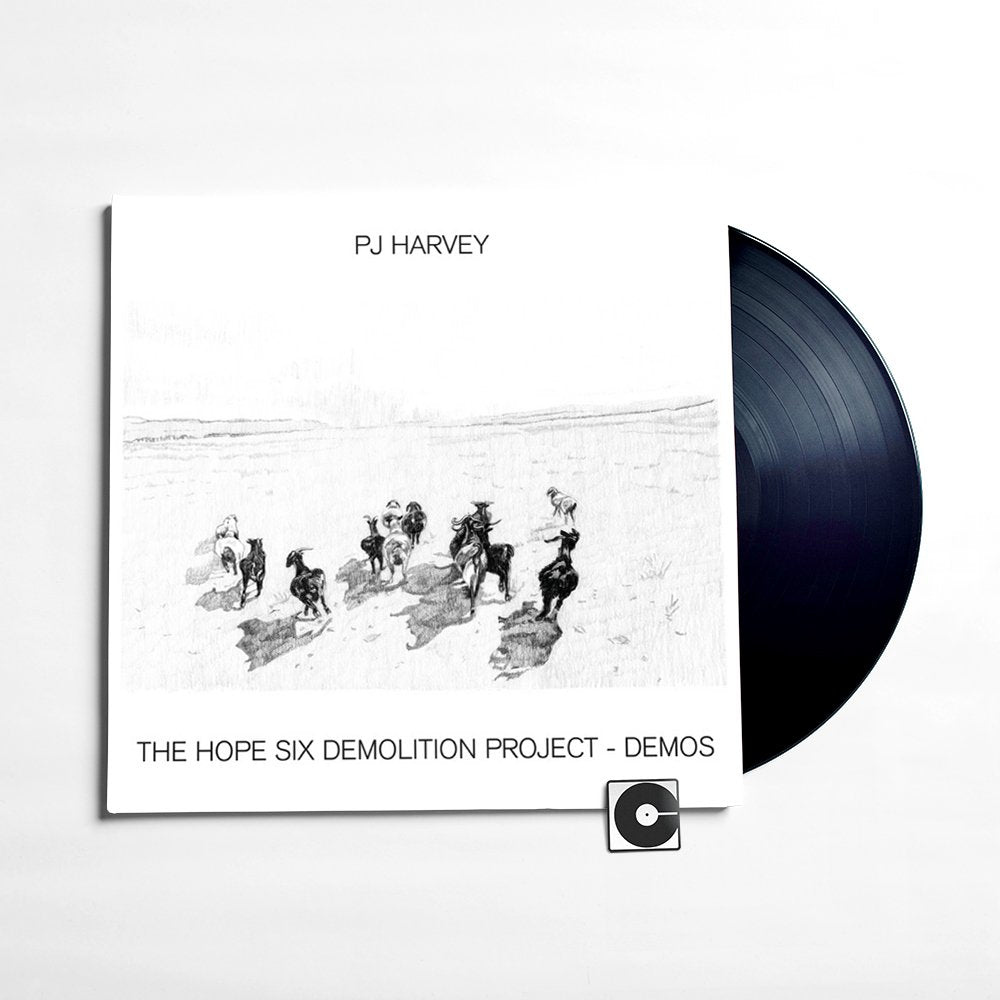 PJ Harvey - "The Hope Six Demolition Project Demos"