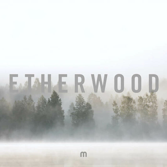 Etherwood - "In Stillness"
