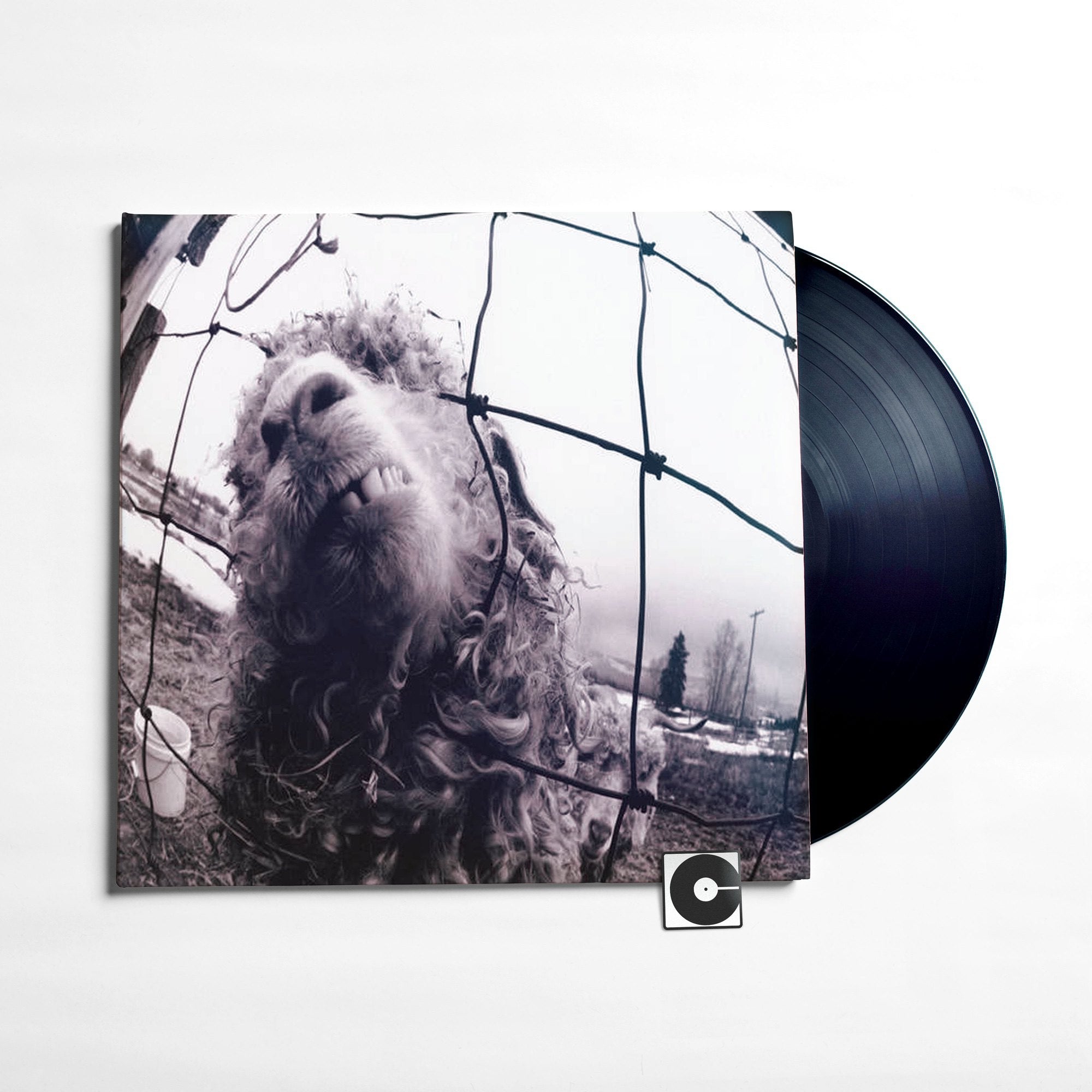 Mudhoney - 